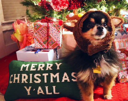 Merry Christmas Y'all Needlepoint Pillows